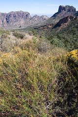 27_Big Bend National Park_01